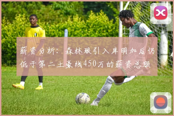 薪资分析：森林狼引入库明加后仍低于第二土豪线450万的薪资总额